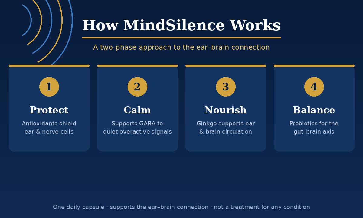 How MindSilence works — protect, calm, nourish, balance
